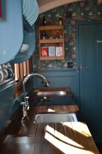 a kitchen with a sink and a blue wall at Charlotte-Rose Shepherd's Hut in Hethersett