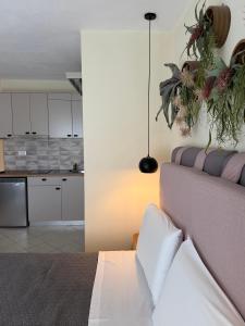 a bedroom with a bed and a kitchen at Aliki Studios in Parga