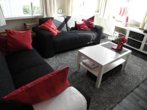 a living room with a black couch and red pillows at Carpe Diem in Ommen