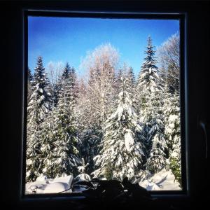 uma janela com vista para uma floresta coberta de neve com árvores em Kwatera Pod Lasem em Istebna