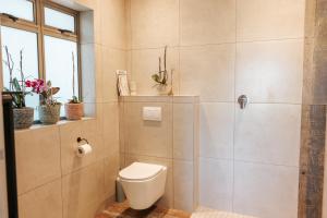 a bathroom with a toilet and a shower at New Wave Accommodation in George +19 photos