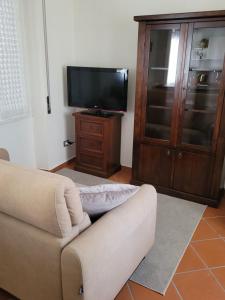 a living room with a couch and a tv at Ca' Irene in Stresa