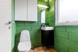 a green bathroom with a toilet and a sink at 84307-8400-Skovduevej-4 in Fuglslev +12 photos