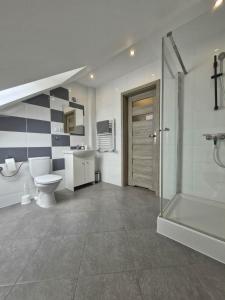 a bathroom with a shower and a toilet and a sink at Pokoje u Emilii in Mikołajki +32 photos