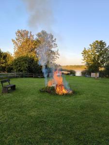 a fire in the grass in a park at Fewo Frieda in Seehausen