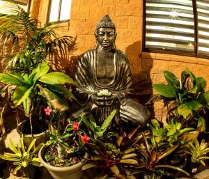 a statue of a statue of a plant in front of a window at Pialba Motor Inn in Hervey Bay