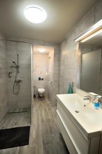 a bathroom with a sink and a shower and a toilet at Laura Villa in Balatonlelle +10 photos