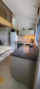 a kitchen with a counter with a sink and a stove at Le Chai d'Auguste in Pauilhac