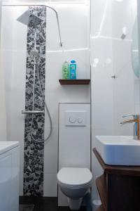 a bathroom with a shower and a toilet and a sink at Grand Jugend Studio in Kallio in Helsinki