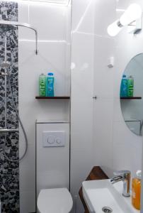 a bathroom with a toilet and a sink and a mirror at Grand Jugend Studio in Kallio in Helsinki