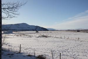 a field covered in snow with a fence at Svala Guesthouses in Selfoss
