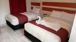 two beds in a hotel room with a swan on the bed at Belys inn in Cusco +7 photos