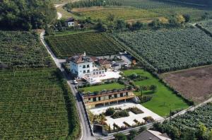 an aerial view of a house in a vineyard at Hotel Karinhall in Trento