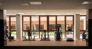 ein Fitnessstudio mit mehreren Laufbändern und Ellipsentrainern in der Unterkunft Kora Lluna in Valencia