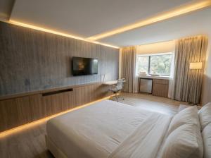 a hotel room with a bed and a television at Viale Jardins in Foz do Iguaçu