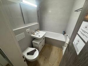 a bathroom with a sink and a toilet and a mirror at Boho Apartment Birkenstöckl in Bad Reichenhall