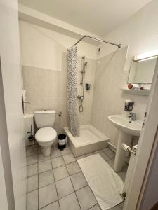 a bathroom with a toilet and a shower and a sink at Hôtel Arc-en-Ciel in Strasbourg +3 photos