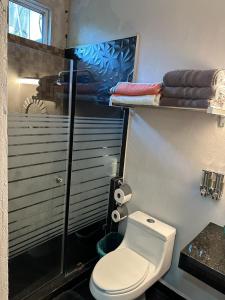 ein Badezimmer mit Toilette und Glasdusche in der Unterkunft Los Diques in Agua Dulce + 46 Fotos