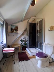 a bathroom with a toilet and a glass shower at Chambre d' hôtes Etigue - Etretat in Les Loges