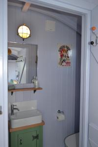 a bathroom with a sink and a toilet and a mirror at Isabelle Shepherd's hut in Hethersett +17 photos