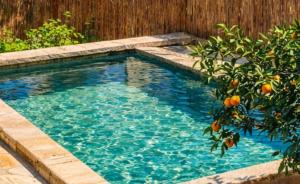 a swimming pool with an orange tree in front of a fence at L'Hostal de Piaghja in Calenzana