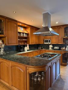 a kitchen with wooden cabinets and a stove top oven at Lily Rose villa in Karlovy Vary