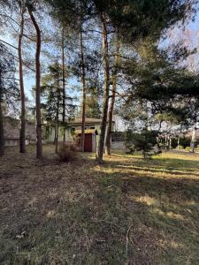 a group of trees in a field with a house at Lily Rose villa in Karlovy Vary