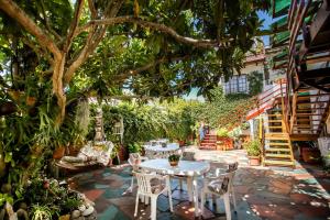 a patio with tables and chairs and a tree at Zoete Inval Travelers Lodge-Backpacker Loft in Hermanus