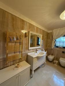 a bathroom with a sink and a toilet at Lily Rose villa in Karlovy Vary +31 photos