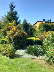 a garden with flowers and plants in the grass at Luna Rooms Oświęcim in Oświęcim