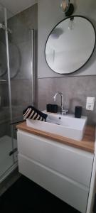a bathroom with a white sink and a mirror at Wohlfühlen in Hohberg in Hohberg +9 photos