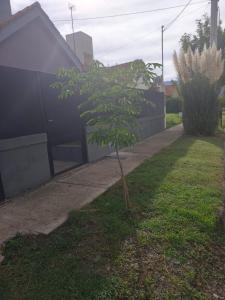 a small tree in a yard next to a sidewalk at House Urban in Merlo