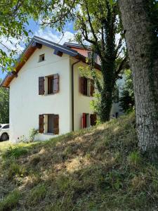 a house on top of a hill with a tree at Casetta dalle finestre rosse in Bedonia