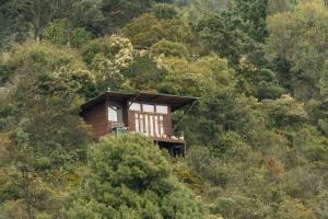 a cabin in the middle of a hill with trees at Biofilia Colombia in Tausa Viejo
