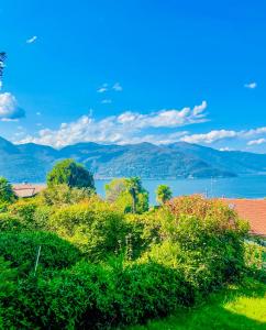 a view of a lake with mountains in the background at Residenz Ai Ronchi in Germignaga