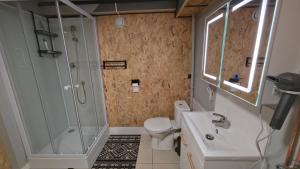 a bathroom with a shower and a toilet and a sink at Chambre d'hôtes MA DAME in Clérey +22 photos