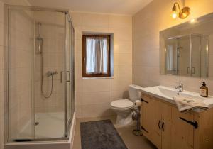 a bathroom with a shower and a toilet and a sink at Hole in Zakopane +42 photos