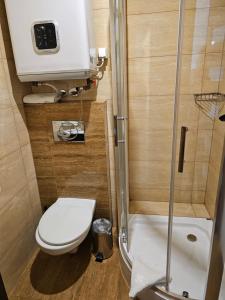 a small bathroom with a toilet and a shower at U Efci in Kościelisko +4 photos