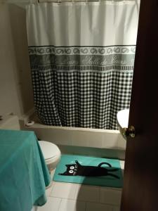 a bathroom with a black cat on a green rug at Kalli's View in Evdilos +27 photos