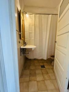 a bathroom with a sink and a shower and a toilet at la casita del altillo in San Francisco