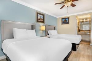 two beds in a room with blue walls and a ceiling at Best Western Tradewinds in Morro Bay