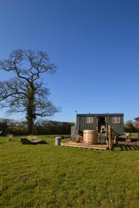 a green house in a field with a tree at Charlotte-Rose Shepherd's Hut in Hethersett