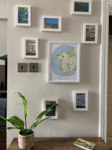 a wall with pictures and a plant on it at Warm Spacious apartment in Pembroke Dock +6 photos