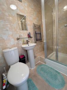 a bathroom with a toilet and a sink and a shower at Comfortable en-suite one bed room studio in Oxford