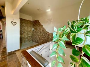 a bathroom with a tub and a plant at “La Casetta nel Borgo” in Cerveteri +33 photos