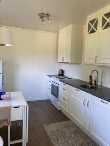 a white kitchen with white cabinets and a sink at Northern Light Lodge - Lyngen in Veidal
