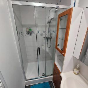 a shower with a glass door in a bathroom at gîte en rdc A 200 m tgv et de la fac A 400 m des places 250 places de parking face au logement in Arras