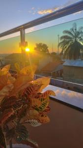 a view of a sunset from a window with a plant at Hotel Real Ipiranga in Três Marias