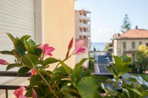 a plant with pink flowers on a balcony at Hotel Nello in Marina di Andora