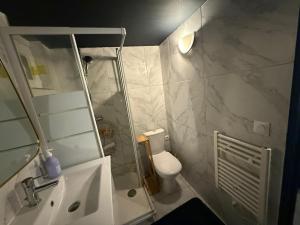 a bathroom with a shower and a toilet and a sink at Le Must - Chambre double entre Paris et Disney in Livry-Gargan +22 photos